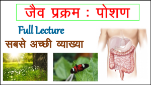 Life processes Nutrition in Hindi
